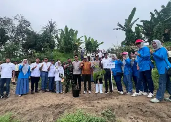 PTPN I Regional 1 Tanam 300 Bibit Pohon