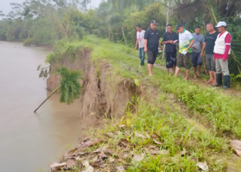 Plt. Camat Langkahan dan Anggota DPRK Tinjau Kerusakan Tanggul di Hulu Bendung D.I
