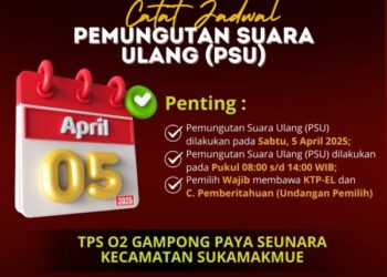 Besok, Kota Sabang Gelar Pemungutan Suara Ulang