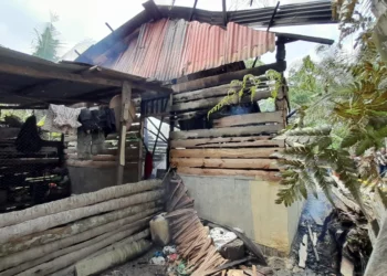 Petugas Damkar Alue Bili Diduga Lalai, Kalaksa BPBD: Kami Tunggu Perintah Bupati