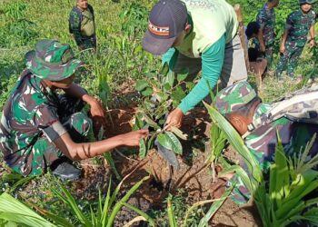 Laksanakan Penghijauan, Satgas TMMD Reg ke-125 Kodim 0108/Agara Penanaman Bibit Pohon di Lokasi Perkebunan Warga