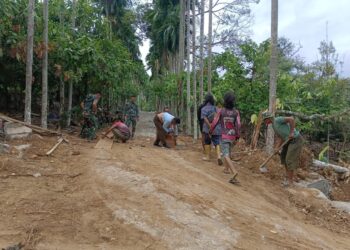 Anggota Satgas TMMD Reguler ke 125 Kodim 0108/Agara Segera Tuntaskan Pemasangan Papan Mal Kuping Gorong -gorong