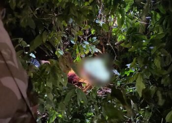 Warga Aceh Timur Digemparkan Penemuan Mayat Kurir Paket dengan Luka Tikaman