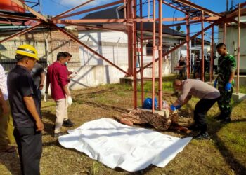 Seorang Pemuda Diduga Terjatuh dari Tower Telekomunikasi di Batuphat Timur, Meninggal Dunia di Tempat