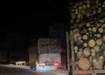 Video Truk Kayu Melintas Dini Hari di Aceh Tamiang Saat Banjir Tuai Sorotan