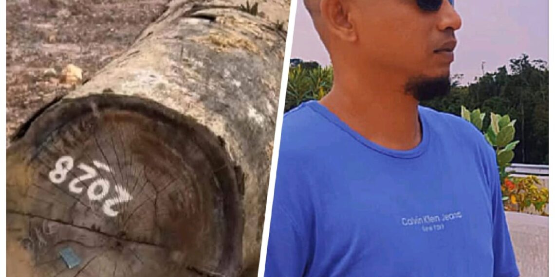 Sekjen DPW FANST Respons Counter Polri Nusantara Aceh: “Tangkap Dan Sikat Habis Mafia Illegal Logging Tanpa Pengecualian