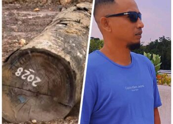 Sekjen DPW FANST Respons Counter Polri Nusantara Aceh: “Tangkap Dan Sikat Habis Mafia Illegal Logging Tanpa Pengecualian