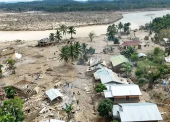 Korban Banjir Ditemukan Meninggal Dunia di Kebun Sawit Langkahan