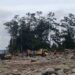 Pasca Banjir Aktivitas Galian C di Krueng Sawang Kembali Beroperasi, Warga Keluhkan Debu dan Ancaman Lingkungan