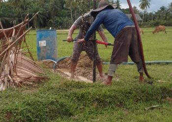 Ratusan Hektare Sawah di Meurah Mulia Terancam Kering, Bendung DI Krueng Pase Rusak Diterjang Banjir