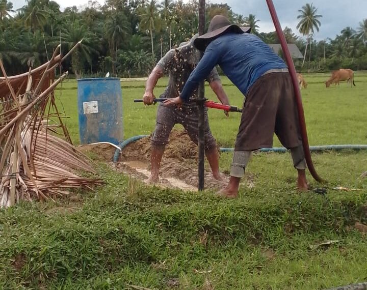 Ratusan Hektare Sawah di Meurah Mulia Terancam Kering, Bendung DI Krueng Pase Rusak Diterjang Banjir