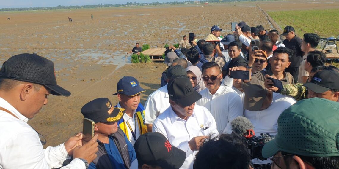 Mentan dan Komisi IV DPR RI Turun ke Aceh Utara, Bupati Ayah Wa Kawal Pemulihan Sawah Petani