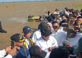 Mentan dan Komisi IV DPR RI Turun ke Aceh Utara, Bupati Ayah Wa Kawal Pemulihan Sawah Petani