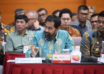 Sawah Rusak dan Infrastruktur Terputus, Pemulihan Pascabanjir Aceh Dinilai Belum Merata