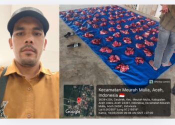 Sapi Meugang Bantuan Presiden Tiba, Geuchik Ceubrek Meurah Mulia Sampaikan Terima Kasih kepada Prabowo