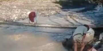 Viral di Media Sosial, Aksi Seorang Ibu Melintasi Pohon Pinang di Buge Ara Jadi Sorotan Publik