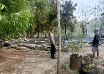 Rumah Kayu di Dewantara Terbakar, Polisi Gerak Cepat Amankan TKP