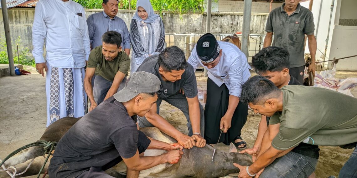 Hari Raya Idul Adha, Kapolres Lhokseumawe Sembelih Langsung Hewan Kurban di Mapolres