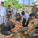 Hari Raya Idul Adha, Kapolres Lhokseumawe Sembelih Langsung Hewan Kurban di Mapolres