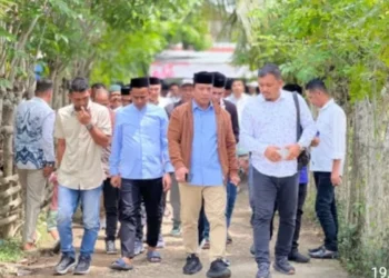 Sawah Kekeringan, Petani Aceh Utara Tagih Normalisasi Irigasi Krueng Pase ke Ruslan Daud
