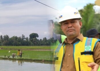 Ribuan Petani Wilayah Tengah Aceh Utara Sukses Tanam Padi Usai Bendungan Kreung Pasee diresmikan
