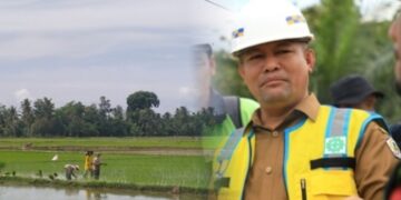 Ribuan Petani Wilayah Tengah Aceh Utara Sukses Tanam Padi Usai Bendungan Kreung Pasee diresmikan