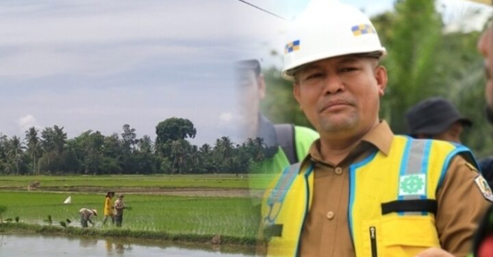 Ribuan Petani Wilayah Tengah Aceh Utara Sukses Tanam Padi Usai Bendungan Kreung Pasee diresmikan