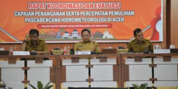 Pascabencana Hidrometeorologi: Gubernur Aceh Minta Kemendagri Prioritaskan Sektor Pertanian dan Infrastruktur