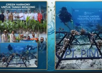 Peringati Hari Lingkungan Hidup, PT PIM Tanam 2.000 Pohon hingga Transplantasi Karang