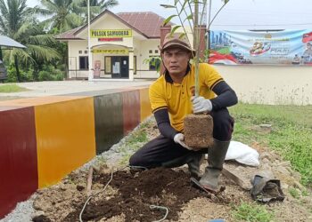 Wujudkan Lingkungan Asri, Polsek Samudera Tanam Pohon di Area Mapolsek