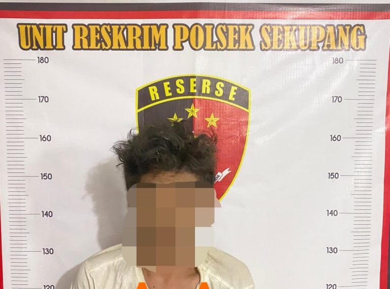Gerak Cepat Polsek Sekupang Ungkap Kasus Pencurian, Dua Pelaku Ditangkap dalam Hitungan Jam
