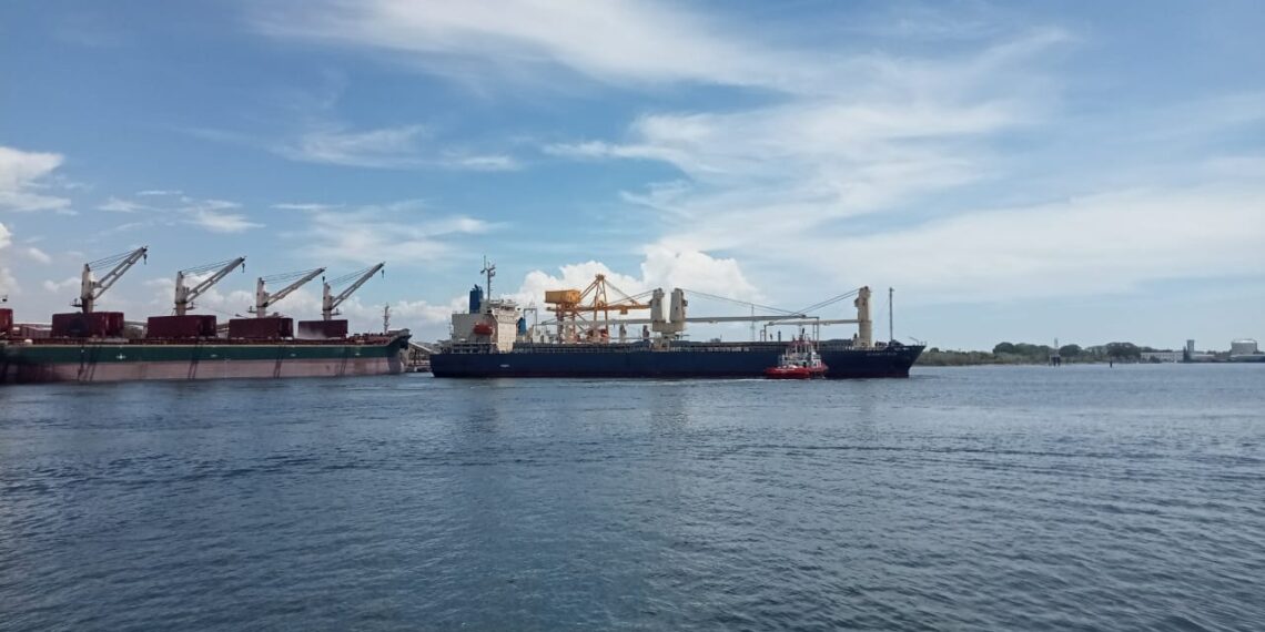 Biomassa Aceh Tembus Jepang, Pelabuhan Krueng Geukueh Perkuat Jalur Ekspor Energi Terbarukan