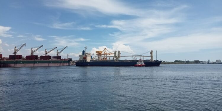 Biomassa Aceh Tembus Jepang, Pelabuhan Krueng Geukueh Perkuat Jalur Ekspor Energi Terbarukan