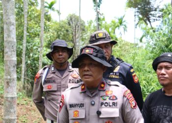 Polres Lhokseumawe Buru Dua Pemilik Ladang Ganja, Identitas Pelaku Sudah Dikantongi