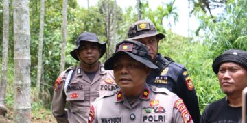 Polres Lhokseumawe Buru Dua Pemilik Ladang Ganja, Identitas Pelaku Sudah Dikantongi