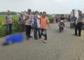 Polsek Meurah Mulia Ungkap Kronologi Kecelakaan, Pelajar 12 Tahun Meninggal Dunia, Dua Luka Berat