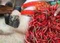 Harga Pangan Nasional Hari Ini: Cabai Rawit Turun Rp777 per Kg, Beras Premium Naik