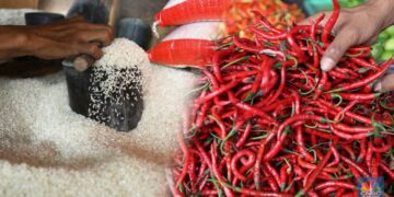 Harga Pangan Nasional Hari Ini: Cabai Rawit Turun Rp777 per Kg, Beras Premium Naik